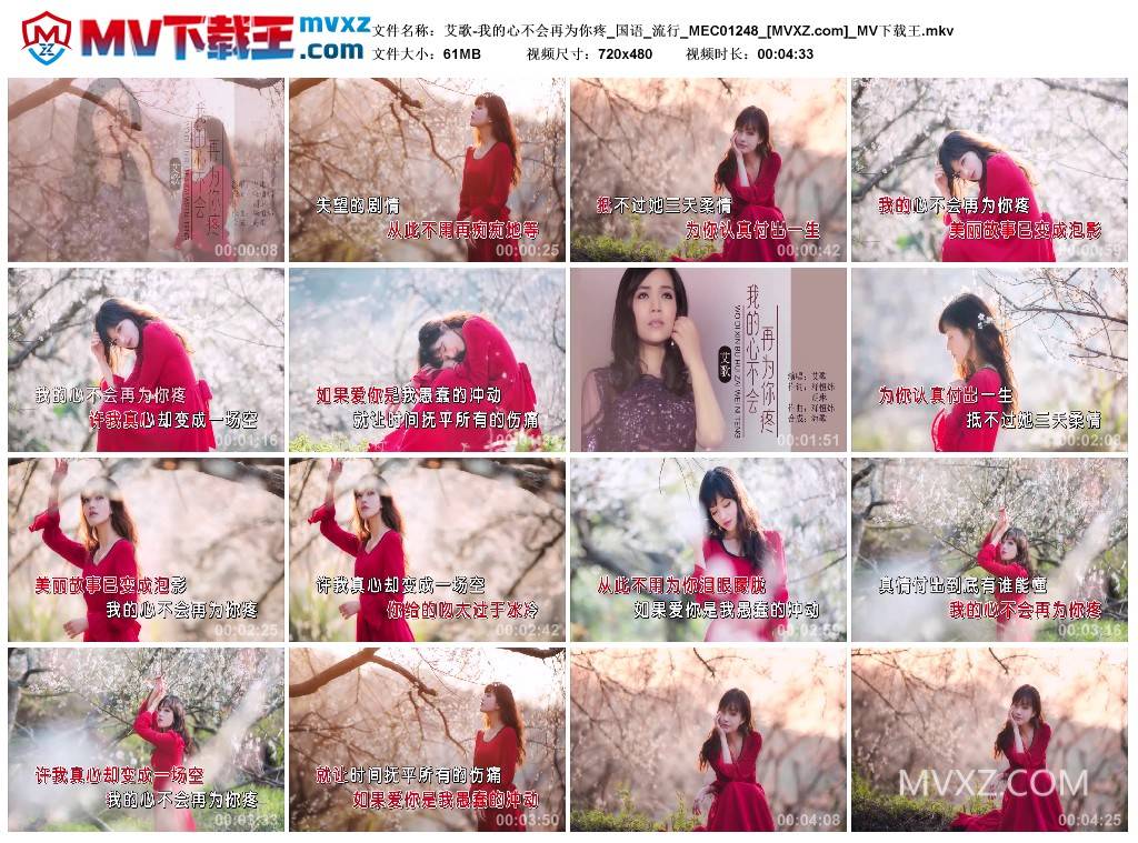 艾歌-我的心不会再为你疼_国语_流行_MEC01248